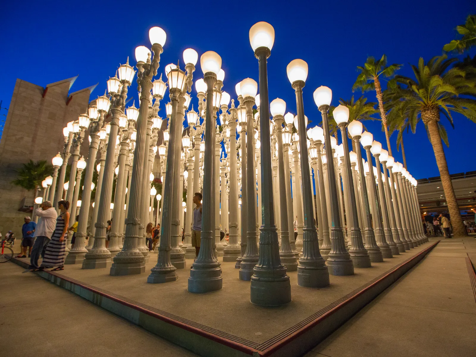 Enjoy Free Museum Days In Los Angeles Discover Los Angeles   LACMA   Urban Lights Evening (3) 